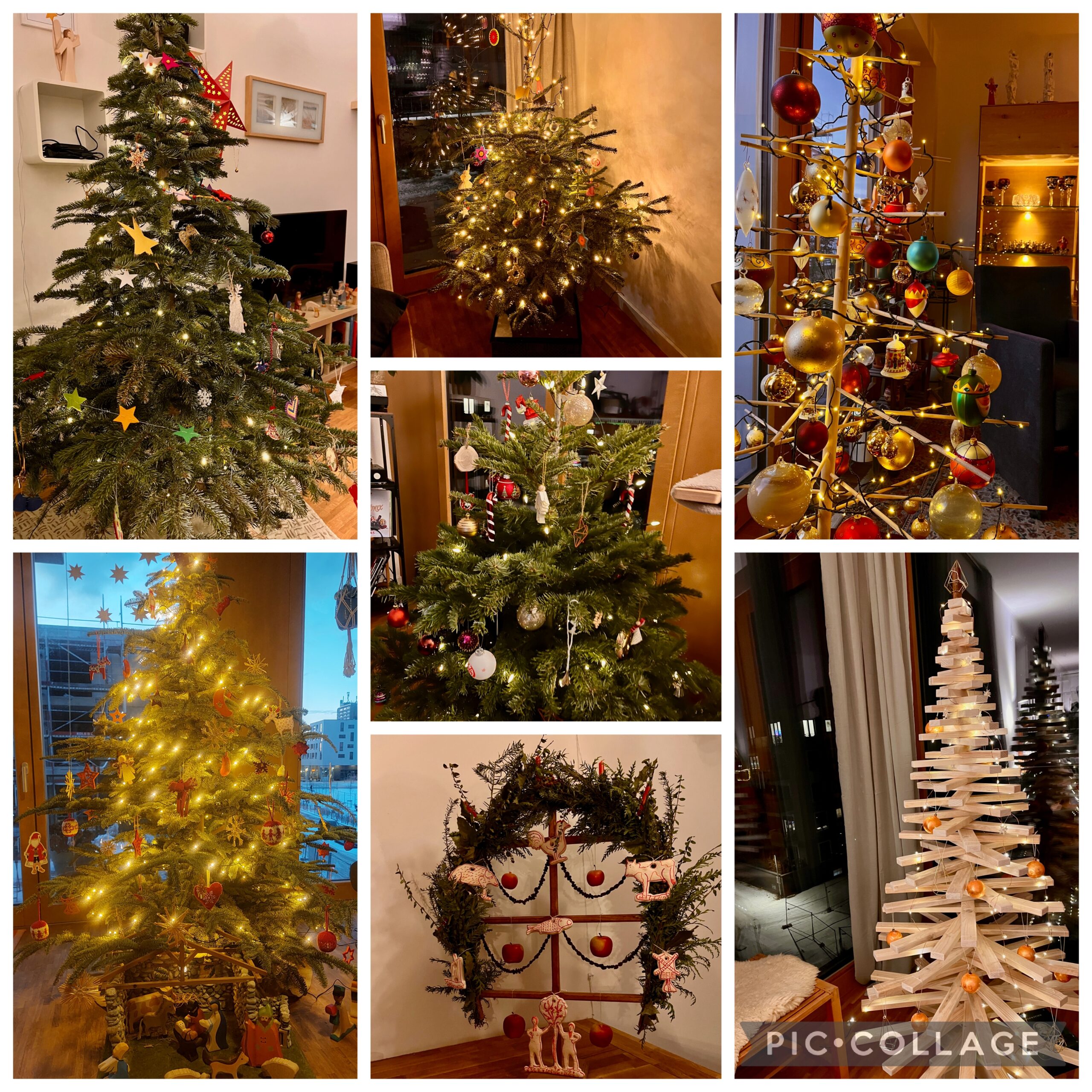 Zweites Weihnachtsbaumloben bei Z.Wo – eine Tradition entsteht! 