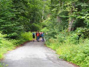 Zweite Z.WO Wanderung Zweite Z-WO Wanderung, ein Testparcours
